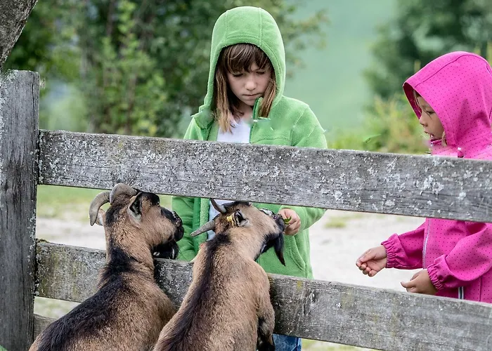 Alloggio per agriturismo Christernhof *