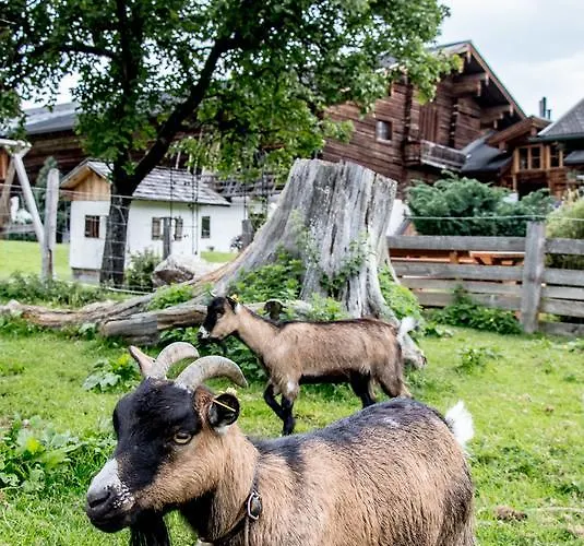 Christernhof * Maria Alm am Steinernen Meer