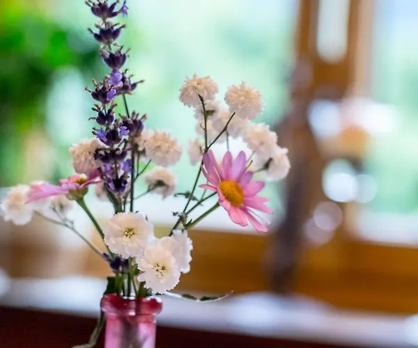 Christernhof Maria Alm am Steinernen Meer