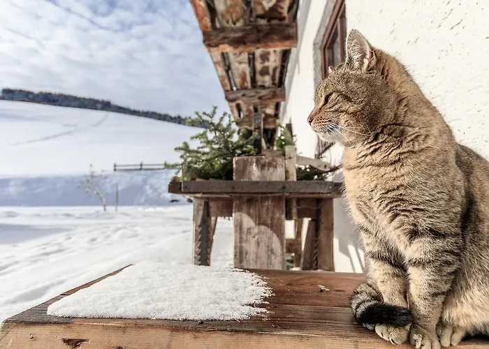 Christernhof Alloggio per agriturismo *