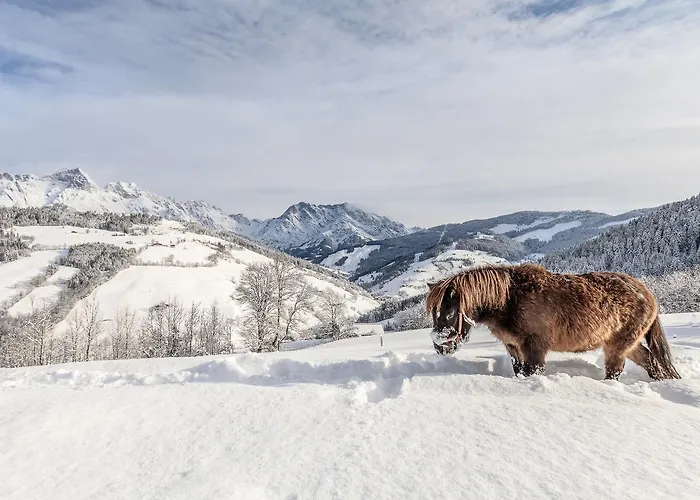 Christernhof Maria Alm am Steinernen Meer